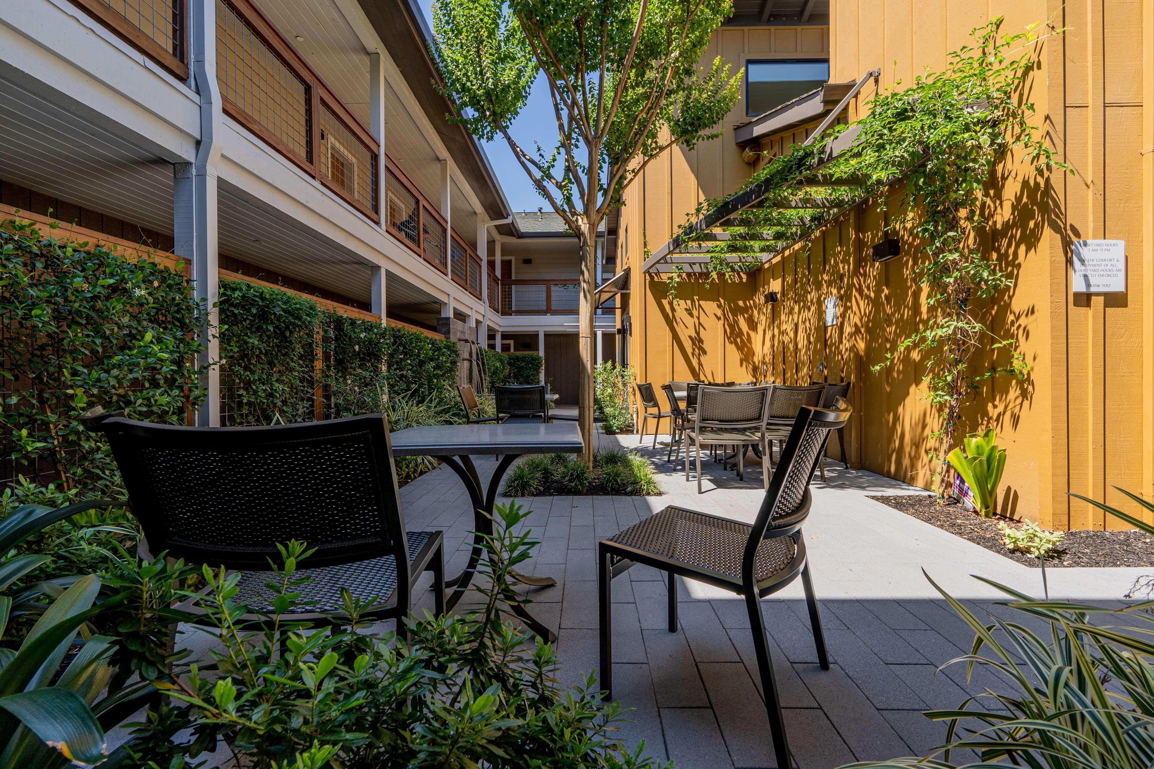 Best Western Plus Stevenson Manor Calistoga Dış mekan fotoğraf